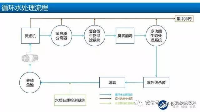 工廠化水產(chǎn)養(yǎng)殖 技術(shù)革新背后的“人”本設(shè)計(jì)與可持續(xù)發(fā)展